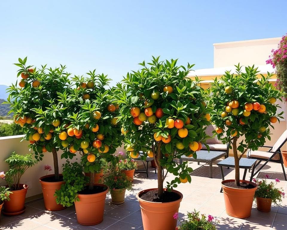 Fruchtbäume im Kübel: So ernten Sie frisches Obst auf der Terrasse