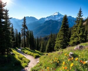 Wandern im Rocky-Mountain-Nationalpark, Colorado