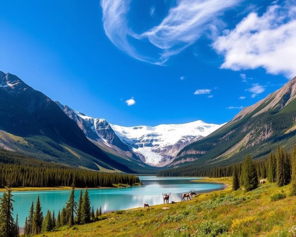 Naturerlebnisse im Kluane-Nationalpark, Yukon