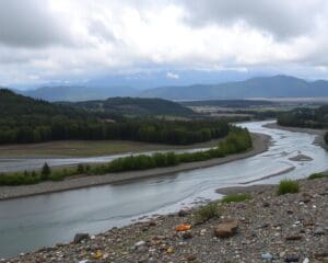 Neuseeland: Welche Strafen drohen bei Umweltverschmutzung? 🇳🇿