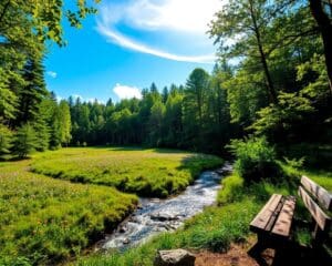 Was macht Naturzeit erholsam?