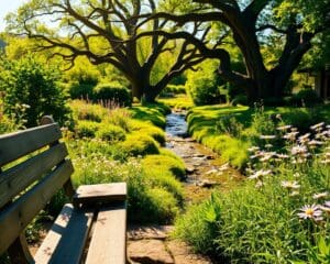 Was macht Slow Living beliebt?