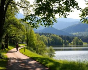 Was macht Spaziergaenge so wohltuend?