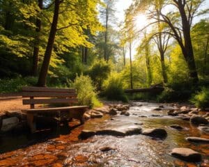 Wie bringst du mehr Ruhe in deinen hektischen Alltag?