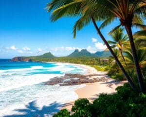 Wie geniesst du tropische Ferien auf Mauritius?