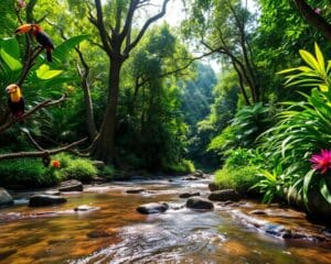 Was fasziniert am Regenwald in Costa Rica?
