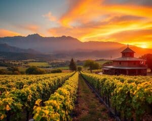 Was lockt Entdecker nach Argentinien?