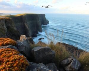 Wie fasziniert die Bretagne mit wilder Küste?