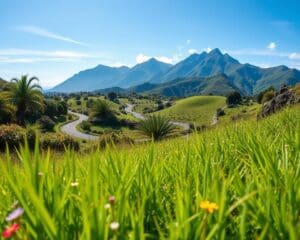 Wie findet man ruhige Natur auf Madeira?
